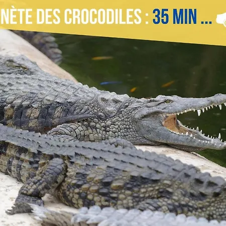 Beau-jean, Un Cocon Sympa 5 Min A Pied Du Centre-ville, Parking Prive, A 10 Min Du Chu Lägenhet