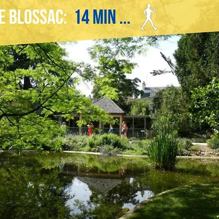 公寓 Beau-jean, Un Cocon Sympa 5 Min A Pied Du Centre-ville, Parking Prive, A 10 Min Du Chu *