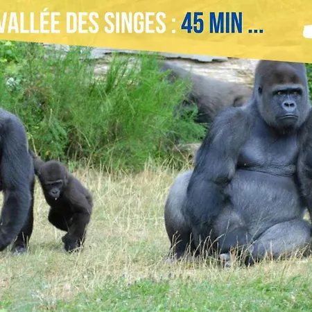 Beau-jean, Un Cocon Sympa 5 Min A Pied Du Centre-ville, Parking Prive, A 10 Min Du Chu アパート