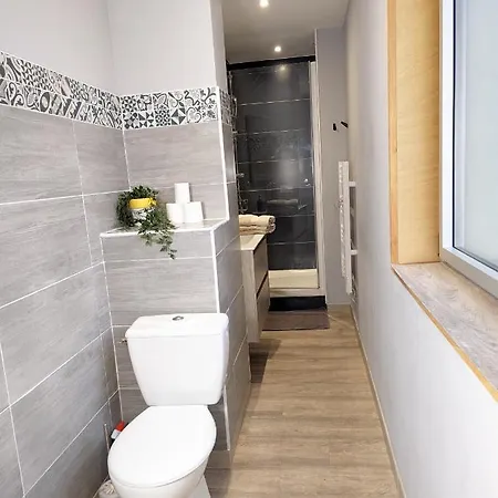 Beau-jean, Un Cocon Sympa 5 Min A Pied Du Centre-ville, Parking Prive, A 10 Min Du Chu *