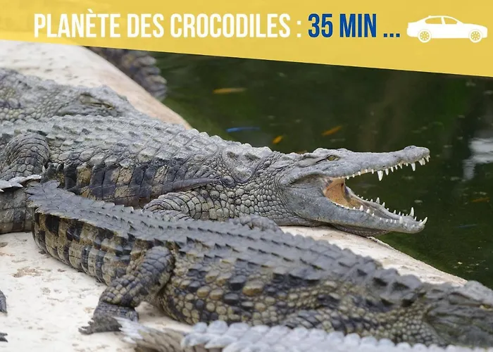 Beau-jean, Un Cocon Sympa 5 Min A Pied Du Centre-ville, Parking Prive, A 10 Min Du Chu Διαμέρισμα