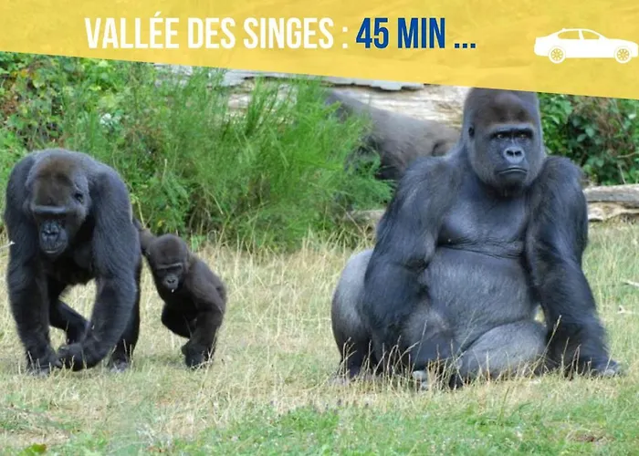 Beau-jean, Un Cocon Sympa 5 Min à Pied Du Centre-ville, Parking Privé, à 10 Min Du Chu Apartamento